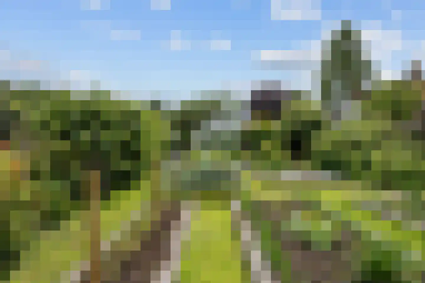 Noorderweg 3 Marum thumbnail 82