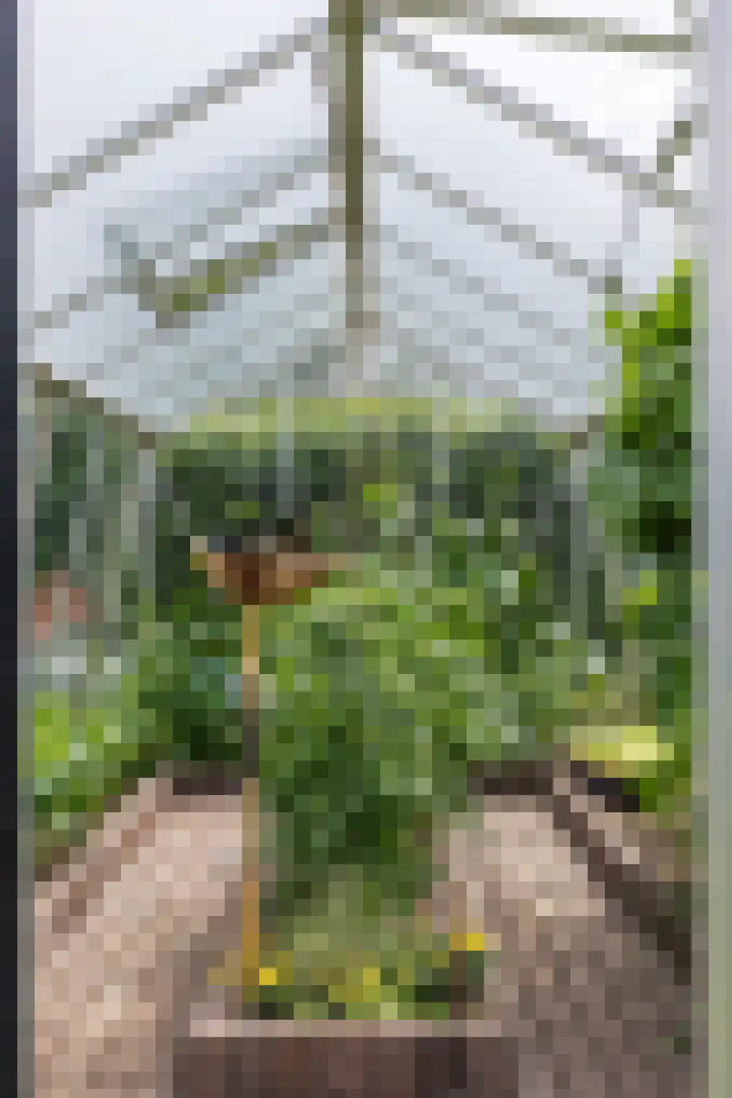 Noorderweg 3 Marum thumbnail 84