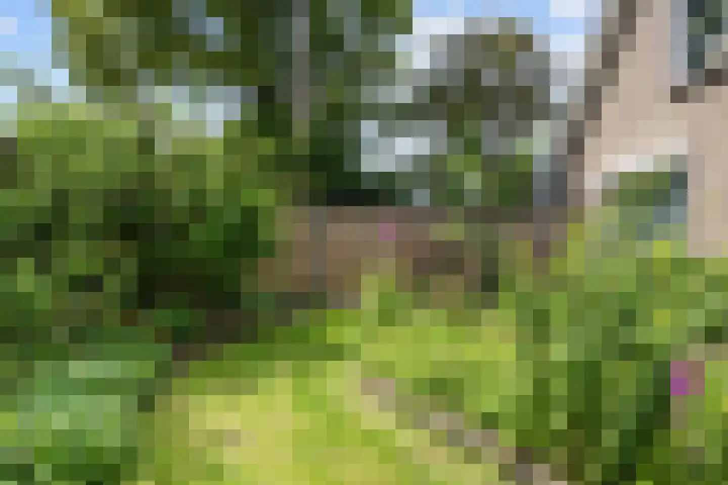 Noorderweg 3 Marum thumbnail 88