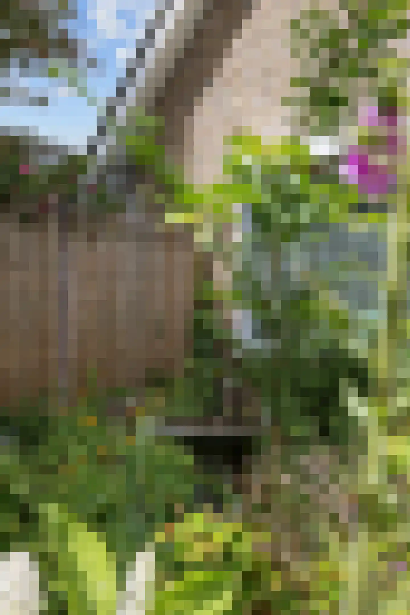 Noorderweg 3 Marum thumbnail 89