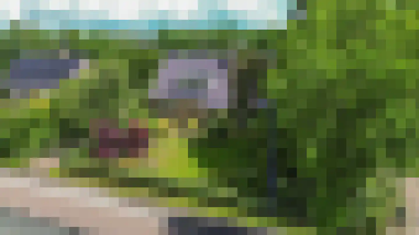 Noorderweg 3 Marum thumbnail 9