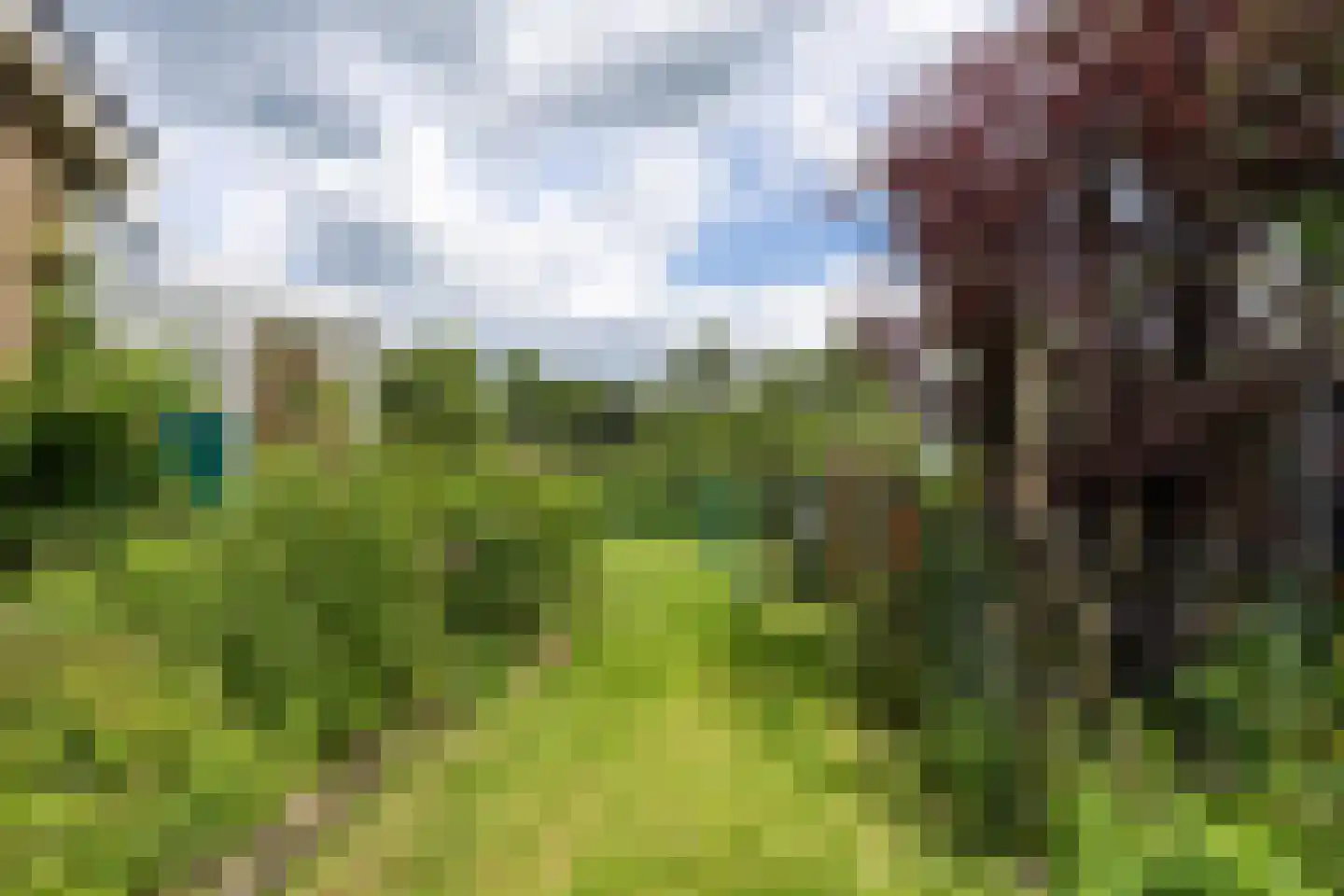 Noorderweg 3 Marum thumbnail 90