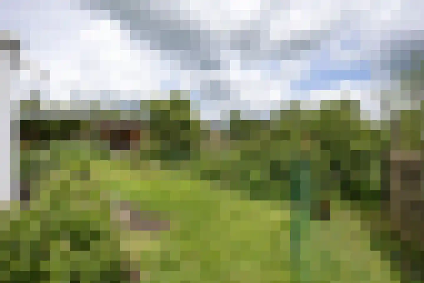 Noorderweg 3 Marum thumbnail 91