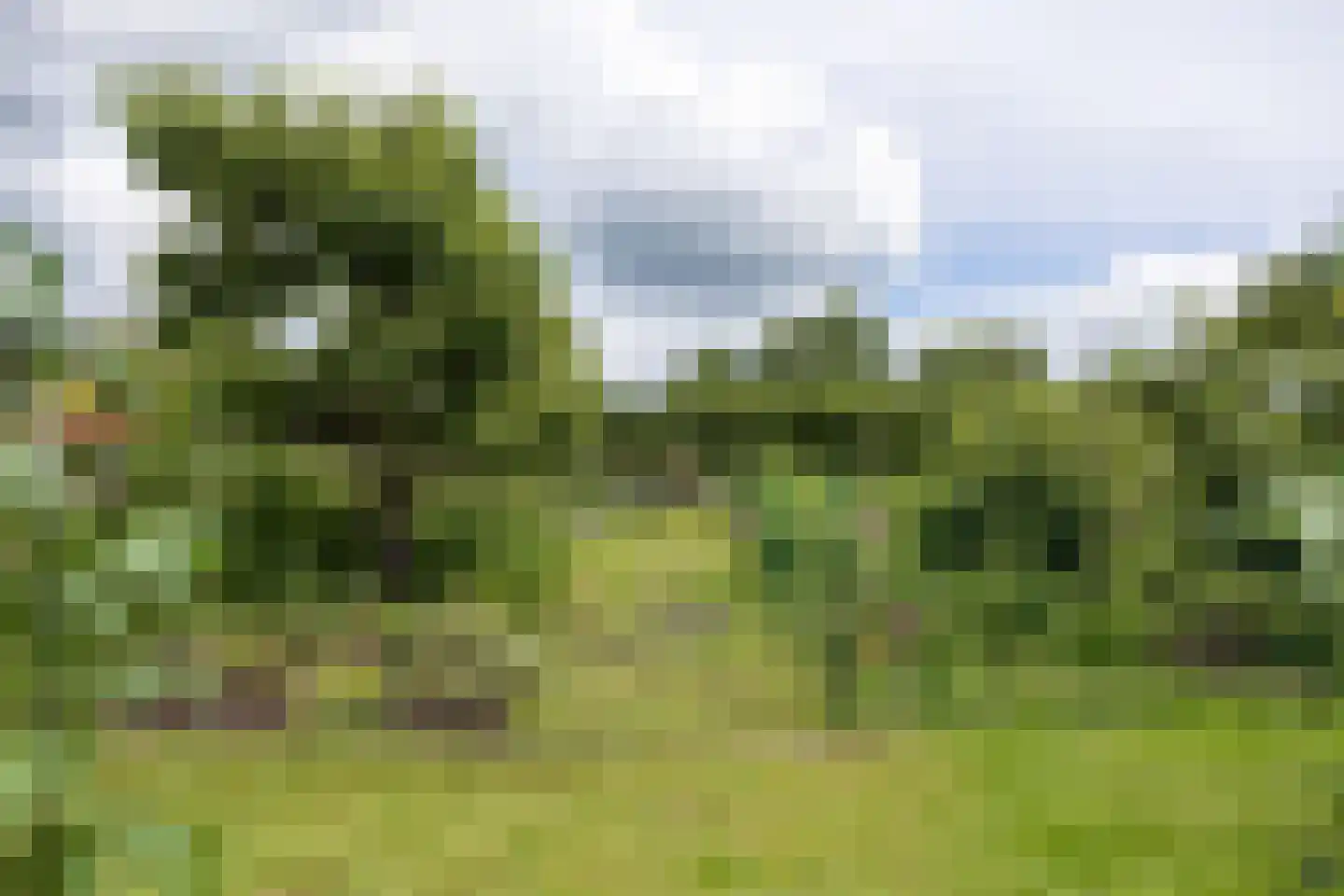 Noorderweg 3 Marum thumbnail 92