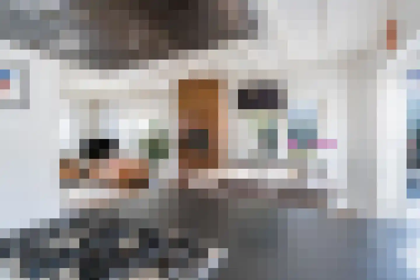 Noorderweg 39 Huizen thumbnail 12