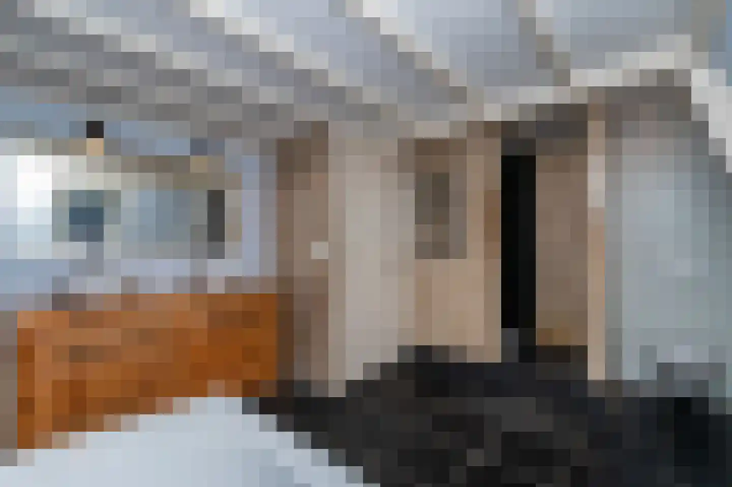 Noorderweg 39 Huizen thumbnail 18