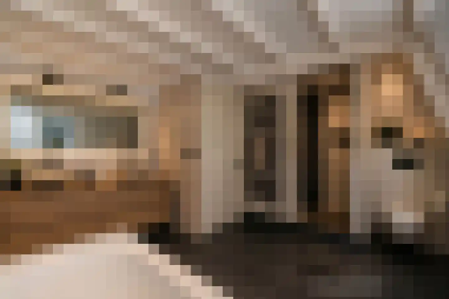 Noorderweg 39 Huizen thumbnail 21