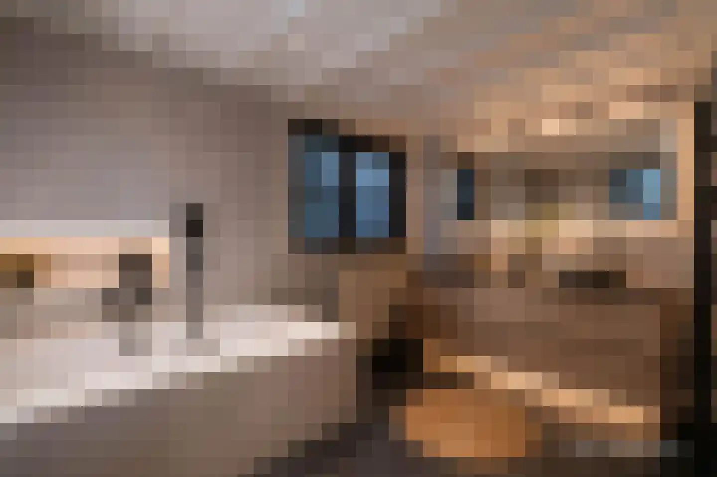 Noorderweg 39 Huizen thumbnail 23