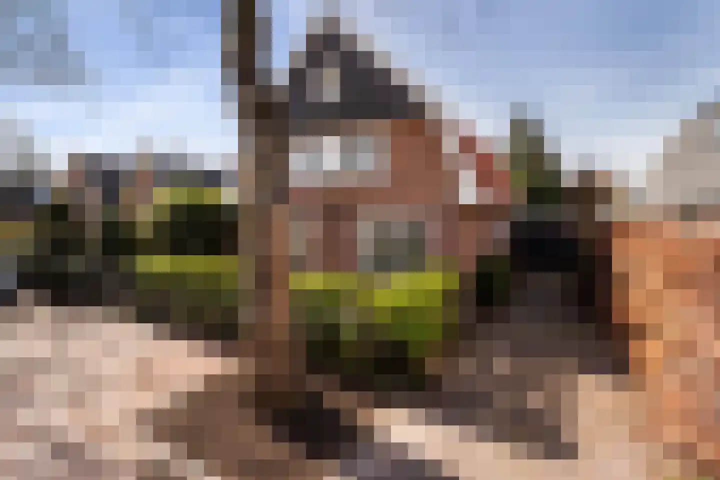 Noorderweg 39 Huizen thumbnail 29