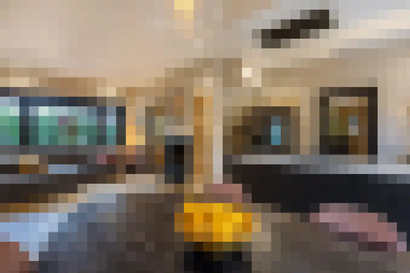 Noorderweg 43 Huizen thumbnail 15