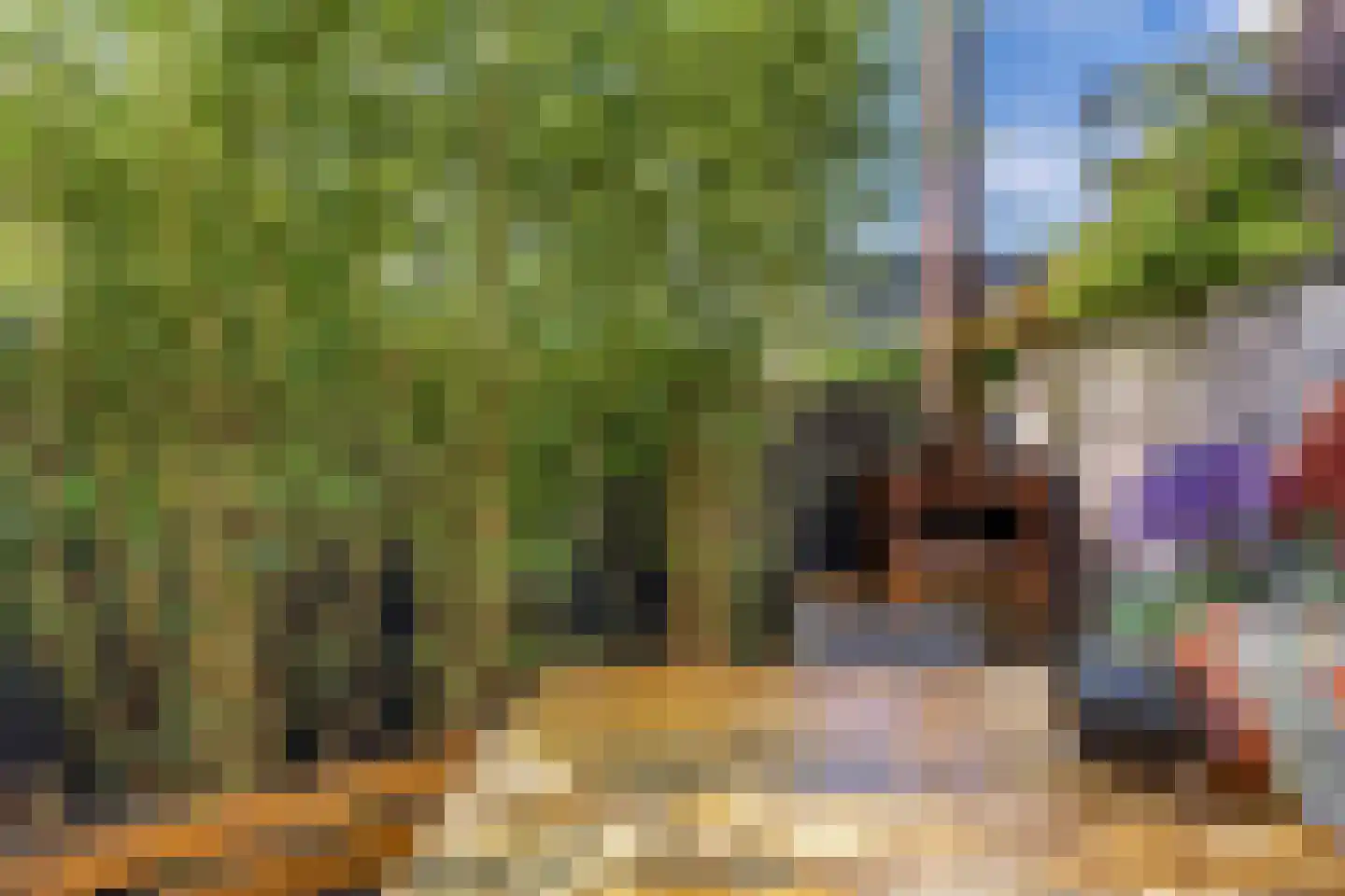 Noorderweg 43 Huizen thumbnail 36
