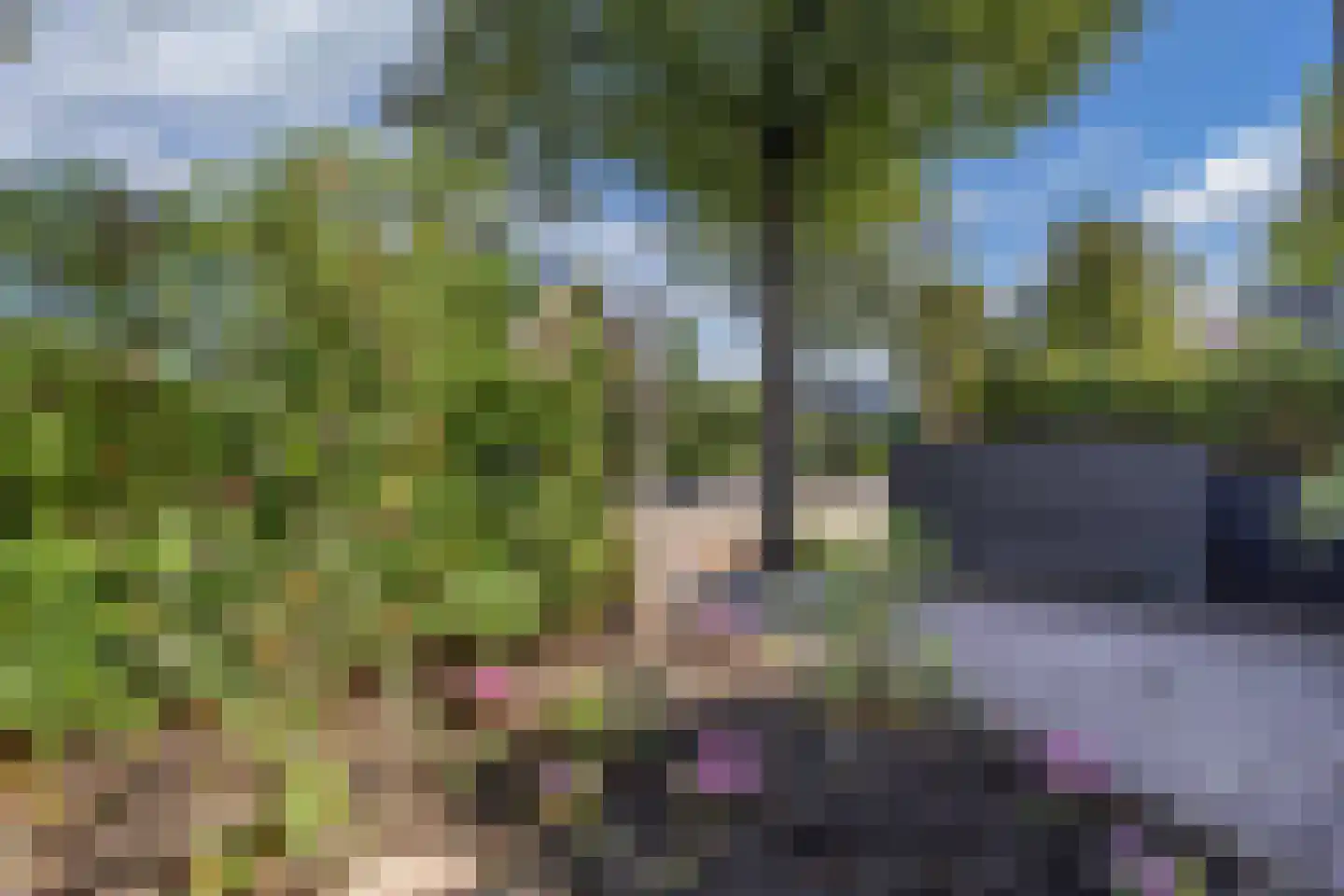 Noorderweg 43 Huizen thumbnail 38