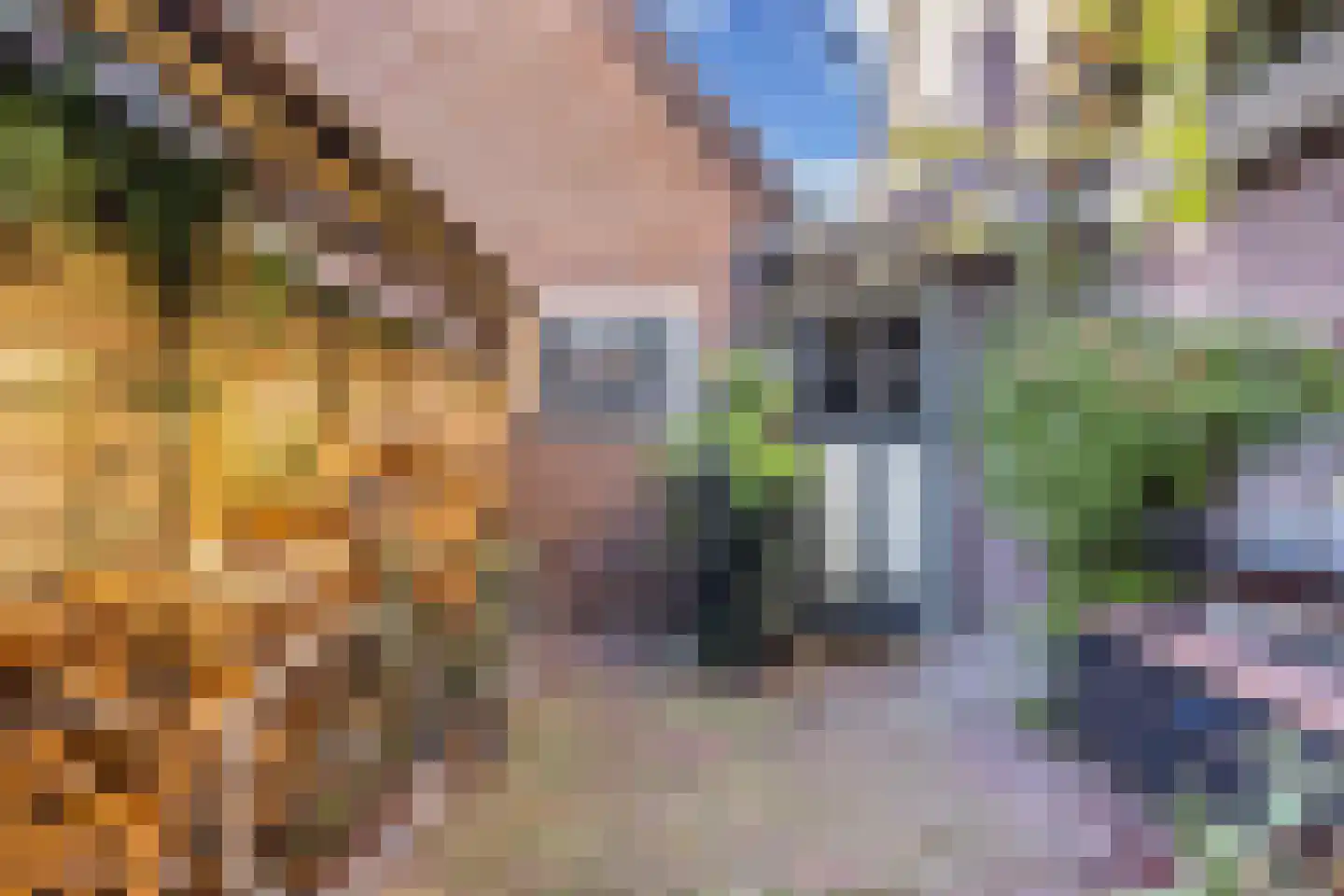 Noorderweg 43 Huizen thumbnail 41