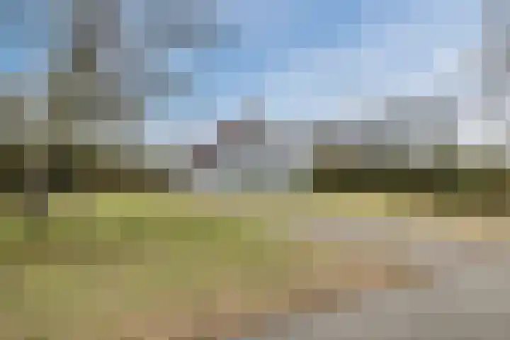 Noorderweg 45 Vroomshoop thumbnail 16