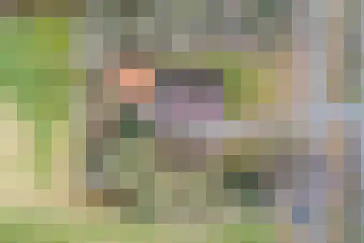Noorderweg 45 Vroomshoop thumbnail 4