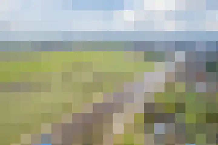 Noorderweg 45 Vroomshoop thumbnail 6