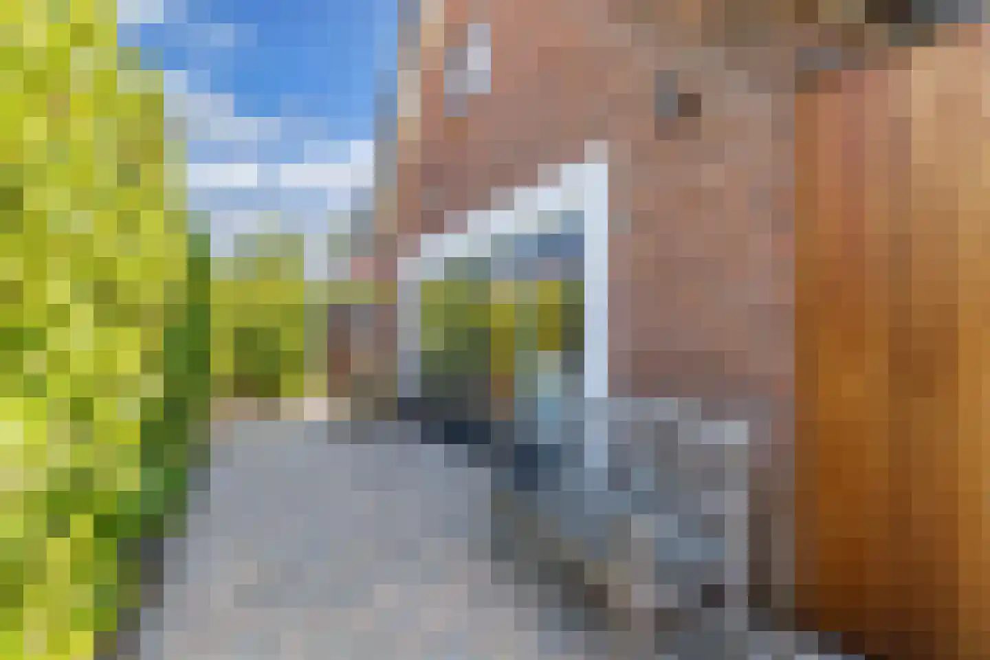 Noorderweg 50 Huizen thumbnail 42