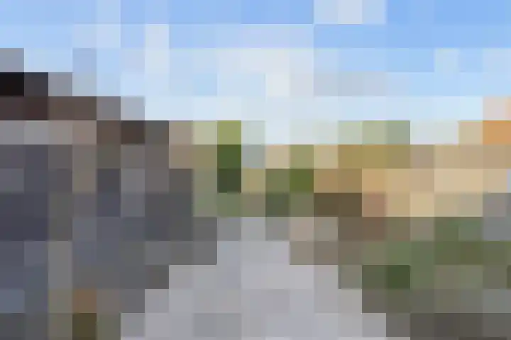 Noorderweg 66 Siddeburen thumbnail 33