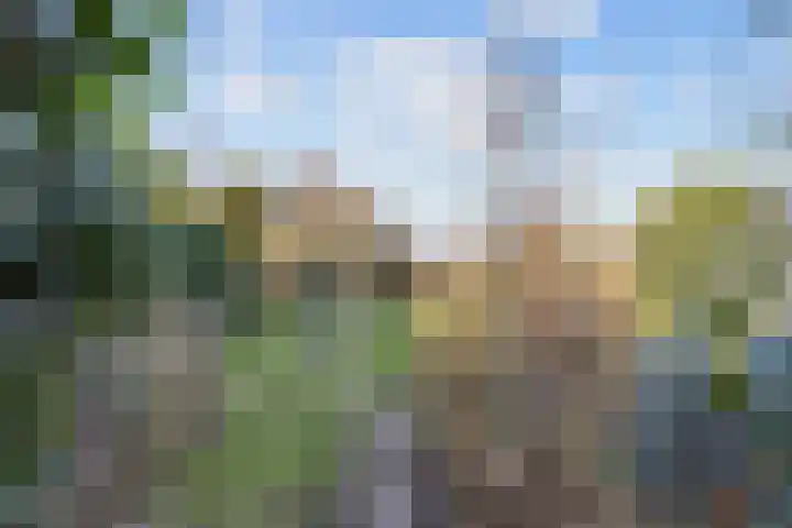 Noorderweg 66 Siddeburen thumbnail 34