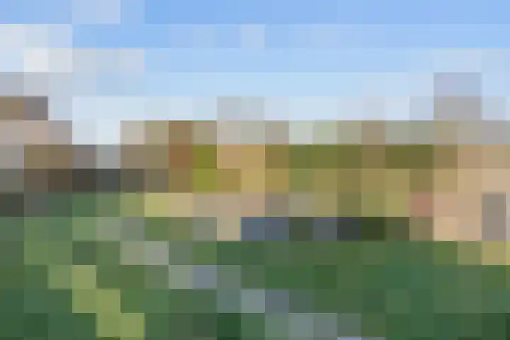 Noorderweg 66 Siddeburen thumbnail 38