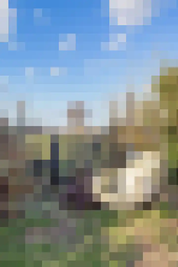 Noorderweg 66 Siddeburen thumbnail 40