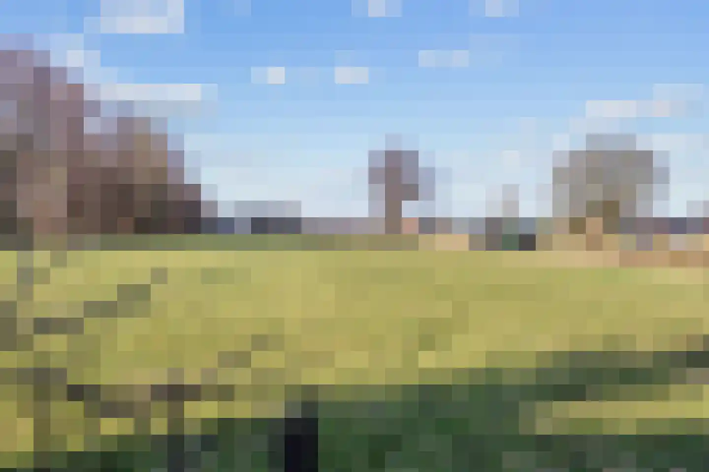 Noorderweg 66 Siddeburen thumbnail 41