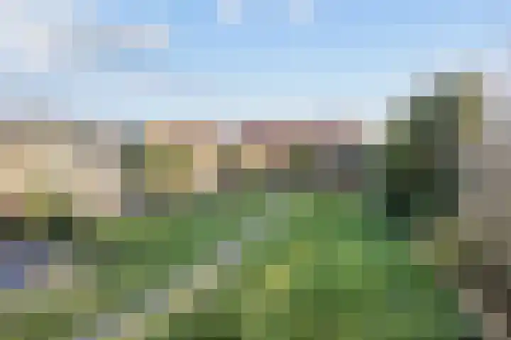 Noorderweg 66 Siddeburen thumbnail 43