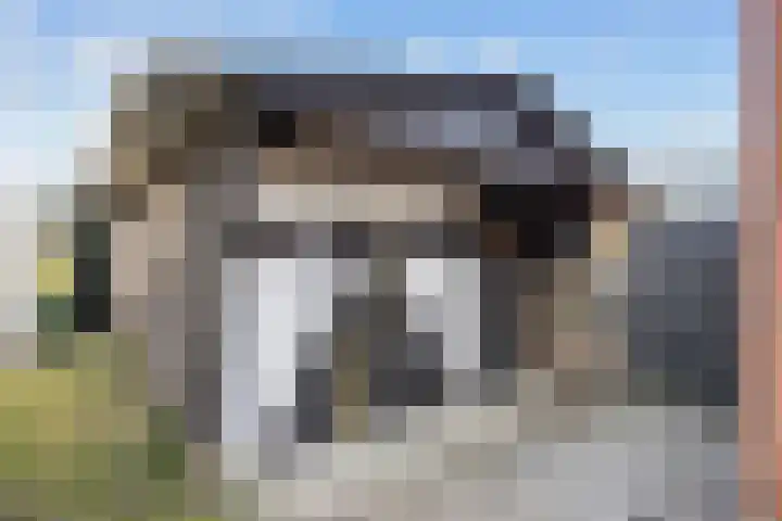 Noorderweg 66 Siddeburen thumbnail 5