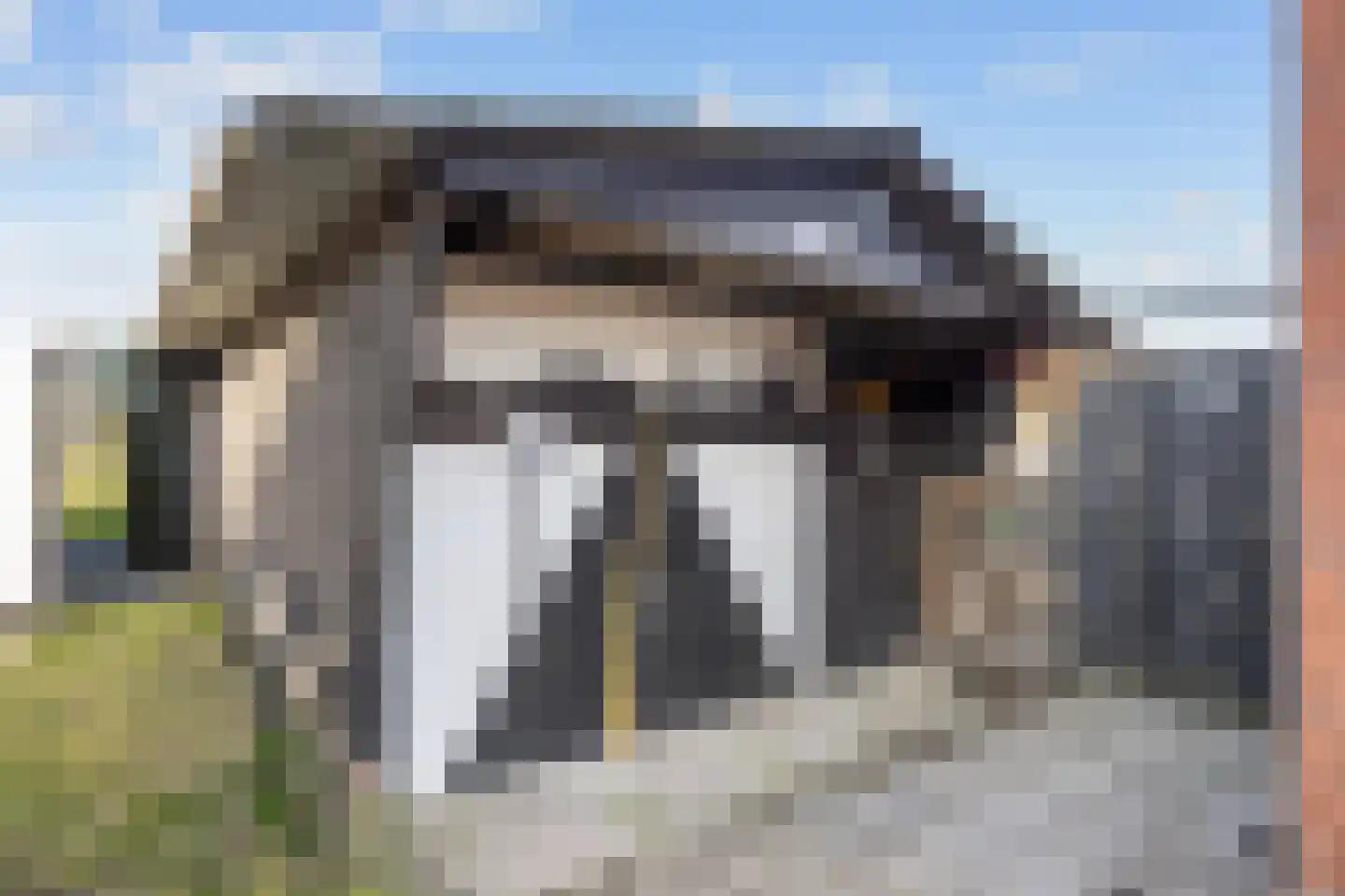 Noorderweg 66 Siddeburen thumbnail 5