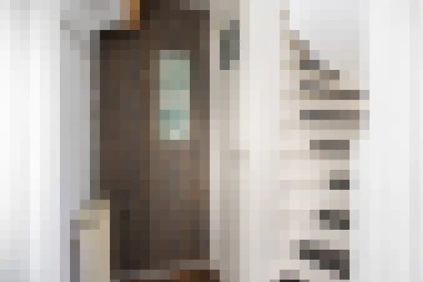 Noorderweg 66 Siddeburen thumbnail 7