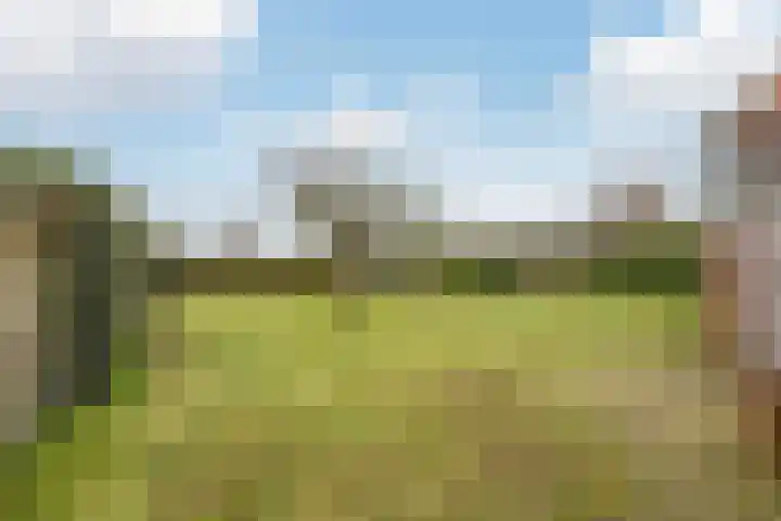 Noorderweg 68 Siddeburen thumbnail 47