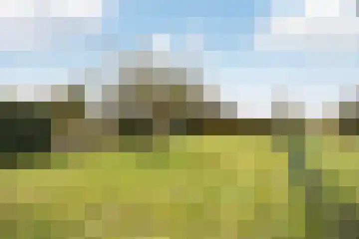 Noorderweg 68 Siddeburen thumbnail 48
