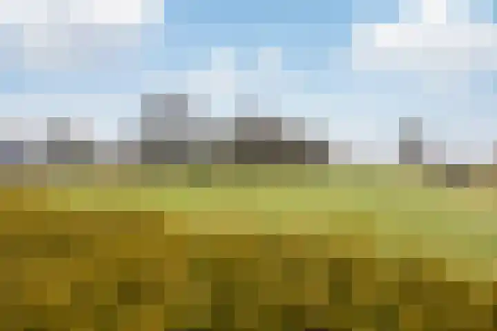 Noorderweg 68 Siddeburen thumbnail 49