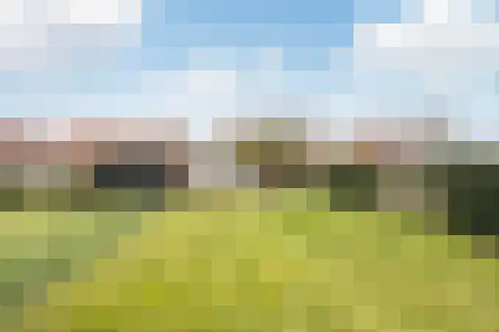 Noorderweg 68 Siddeburen thumbnail 50