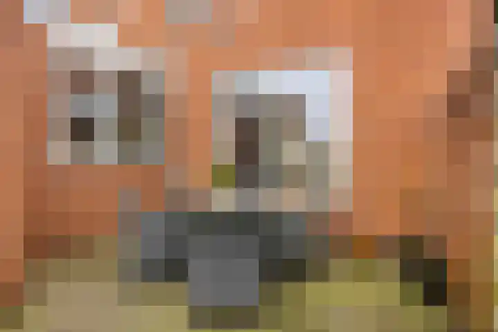 Noorderweg 68 Siddeburen thumbnail 54
