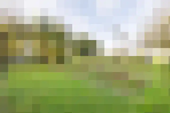 Noorderweg 74 Geerdijk thumbnail 60