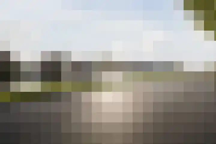Noorderweg 74 Geerdijk thumbnail 62