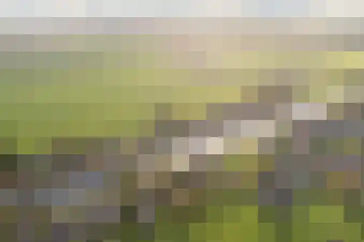 Noorderweg 74 Geerdijk thumbnail 69