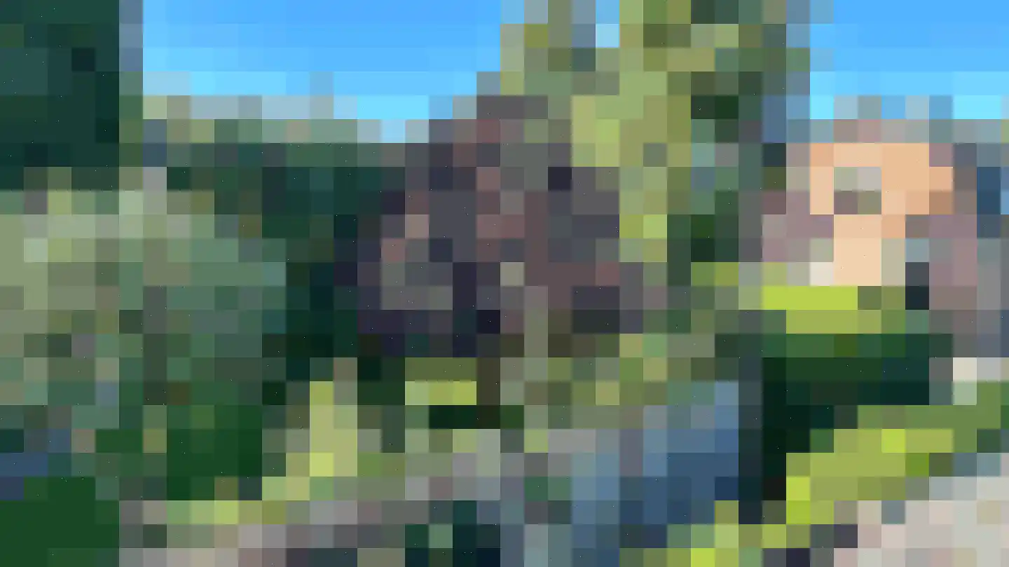 Noorderweg 8 Huizen thumbnail 32