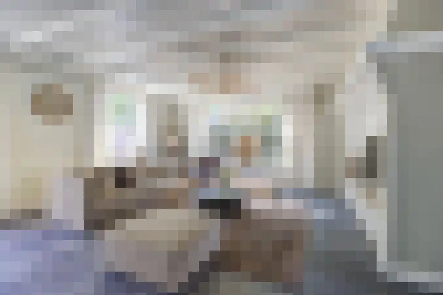 Noorderweide 3 Sprundel thumbnail 11
