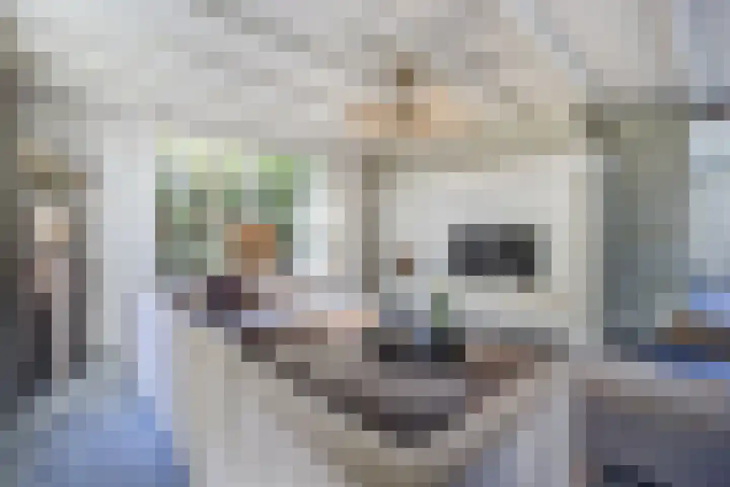 Noorderweide 3 Sprundel thumbnail 13