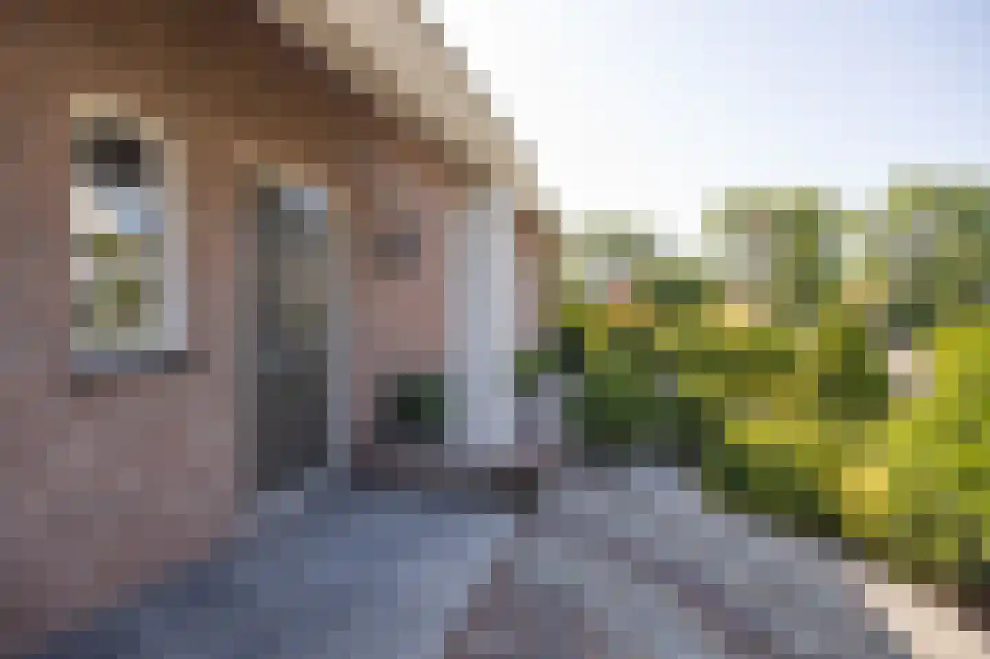 Noorderweide 3 Sprundel thumbnail 6