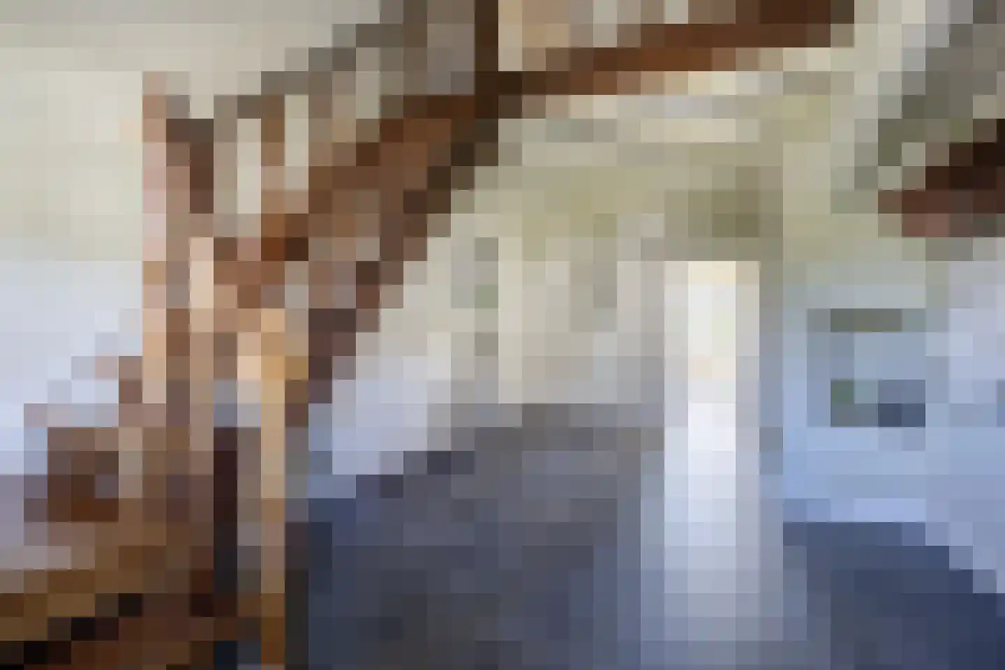 Noorderweide 3 Sprundel thumbnail 7