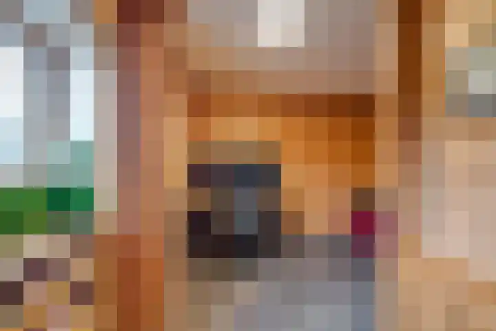 Noorderweme 10 Ruurlo thumbnail 13