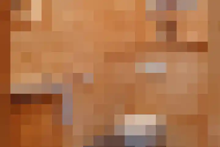 Noorderweme 10 Ruurlo thumbnail 14