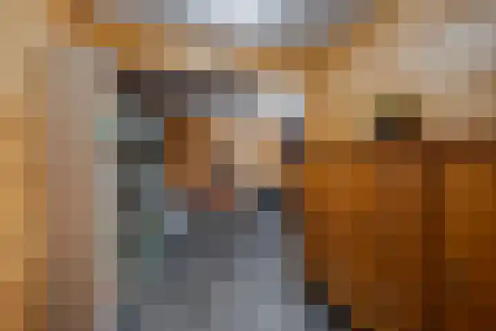 Noorderweme 10 Ruurlo thumbnail 15