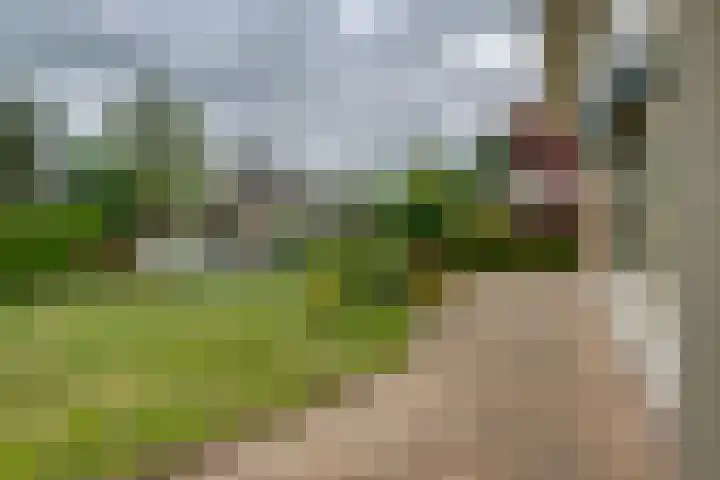 Noorderweme 10 Ruurlo thumbnail 28