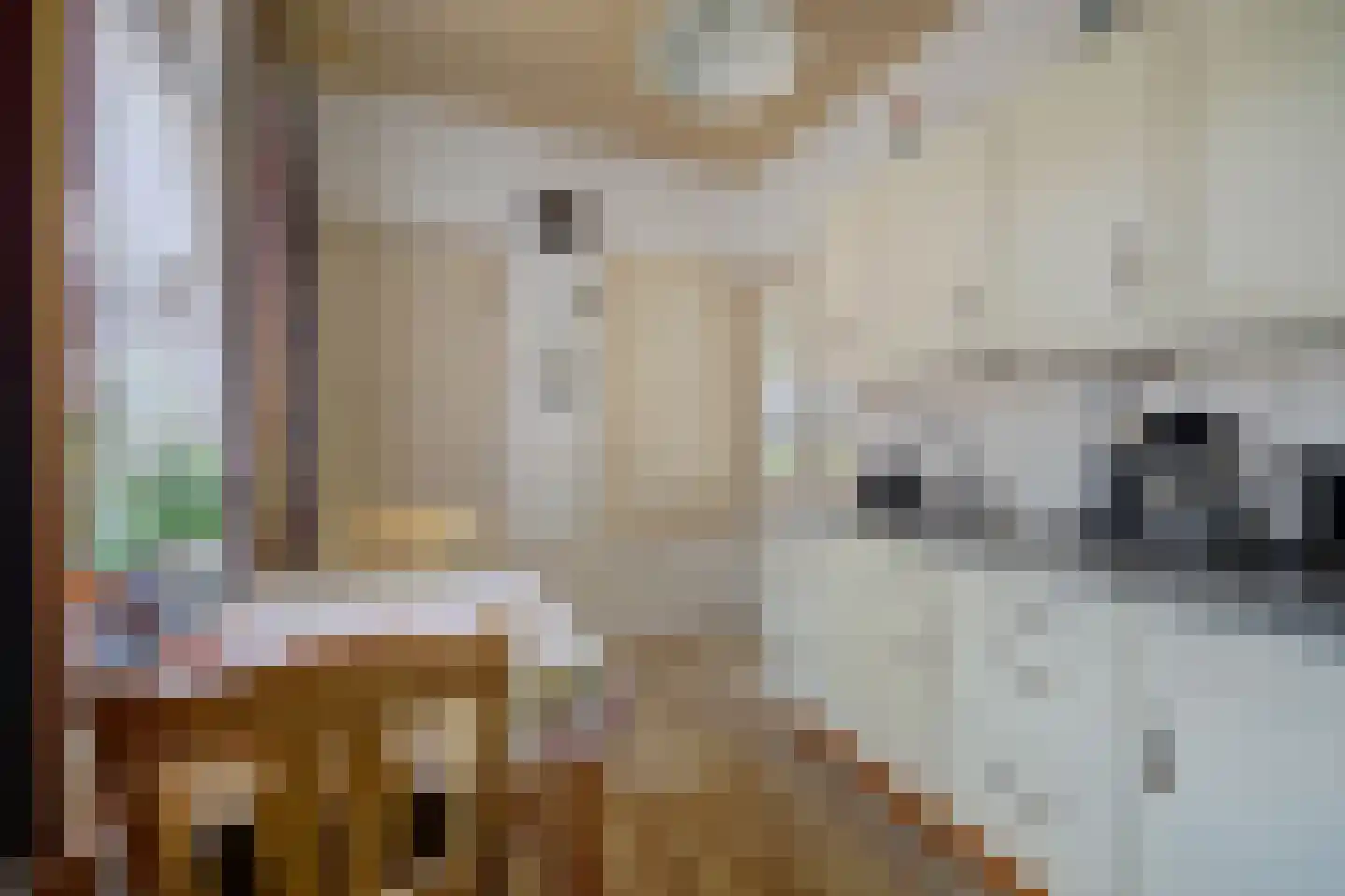 Noorderweme 2 Ruurlo thumbnail 10