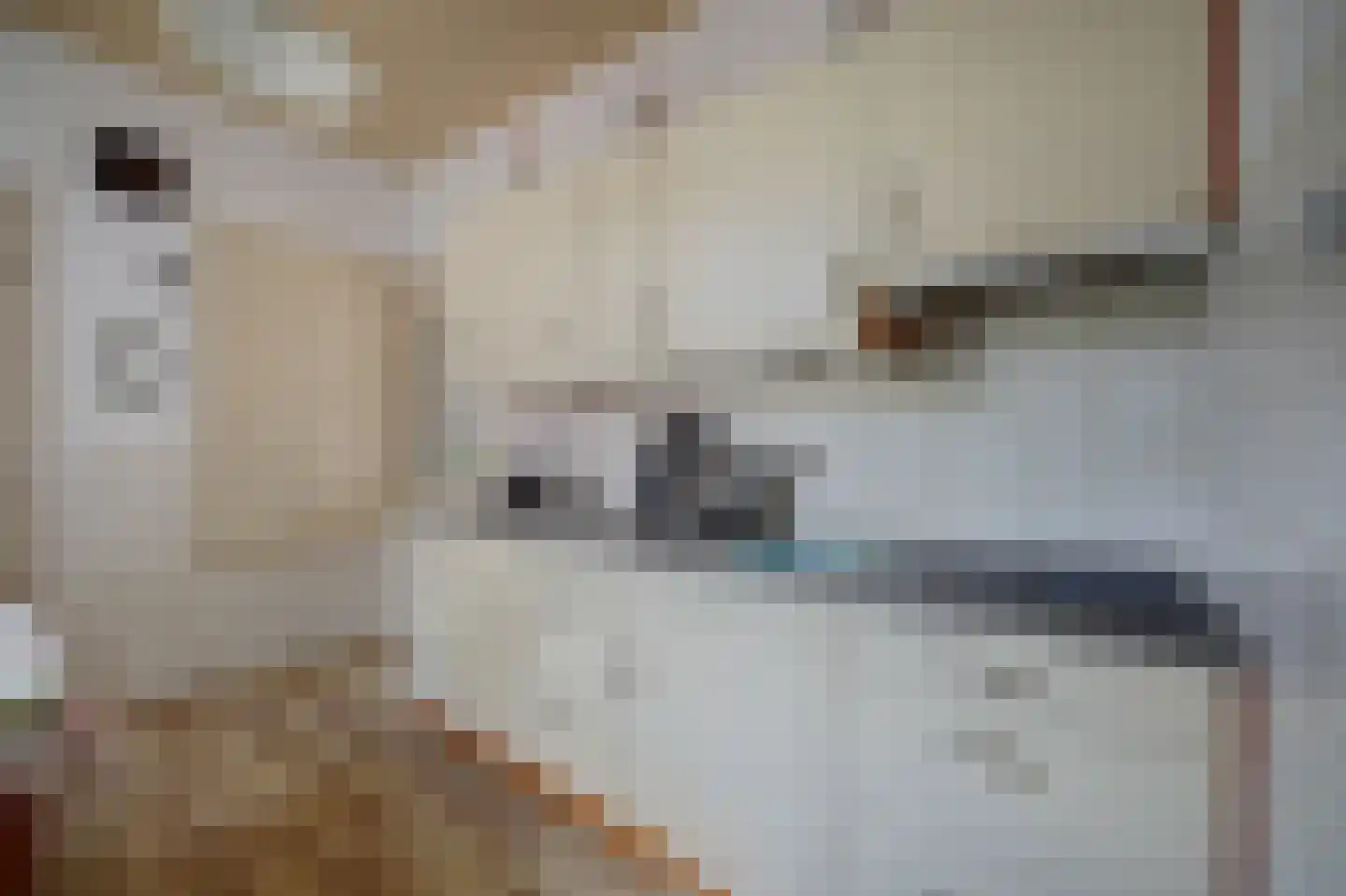 Noorderweme 2 Ruurlo thumbnail 5