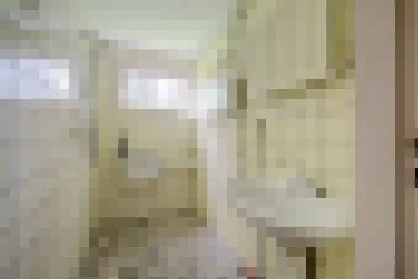 Noorderweme 2 Ruurlo thumbnail 6
